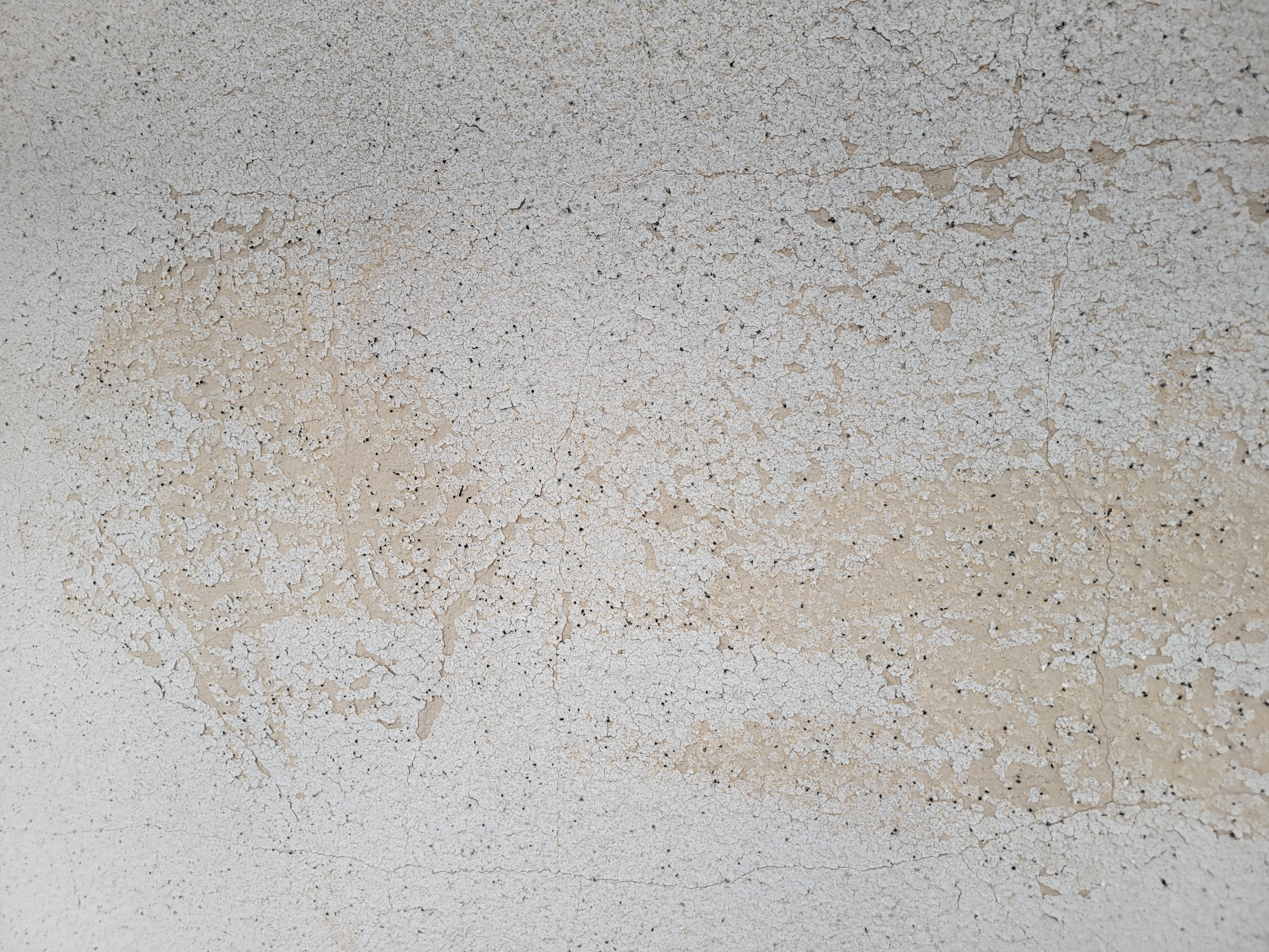 �䑷�q�s�����A�O�Ǔh���H��👷